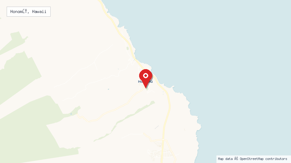 Street map of Honomū, Hawaii with location pin
