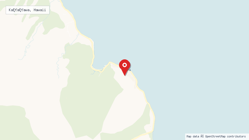 Street map of Kaʻaʻawa, Hawaii with location pin