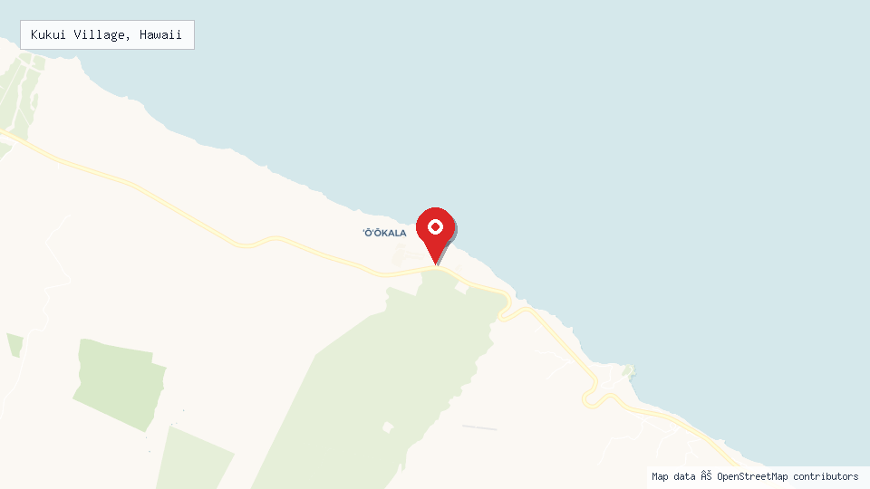 Street map of Kukui Village, Hawaii with location pin