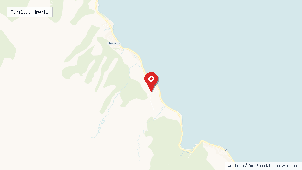 Street map of Punaluu, Hawaii with location pin