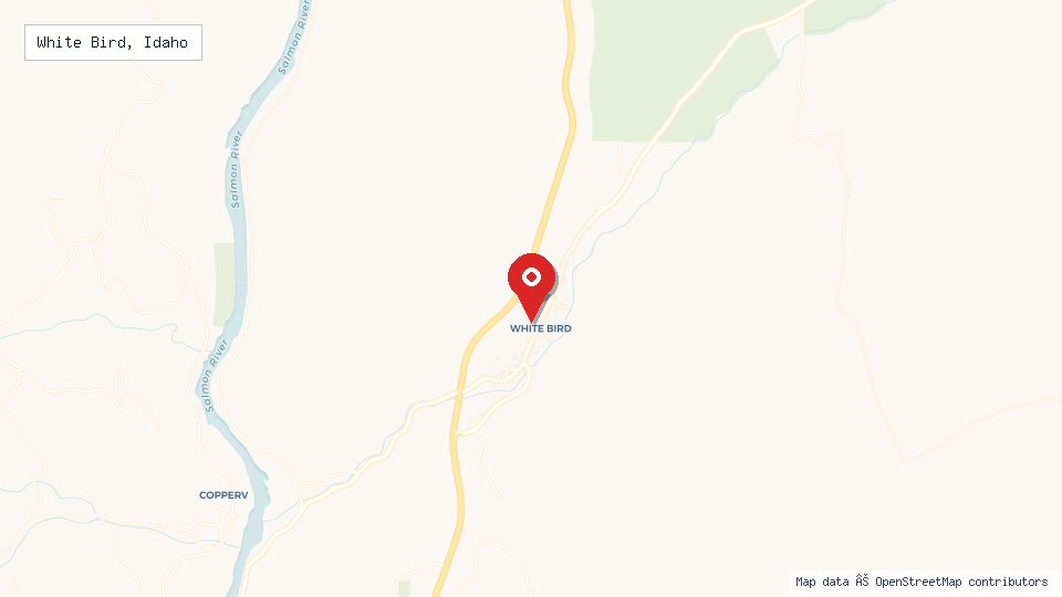 Street map of White Bird, Idaho with location pin