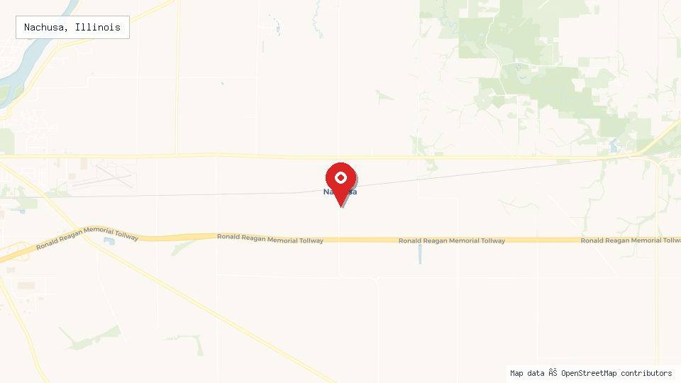Street map of Nachusa, Illinois with location pin