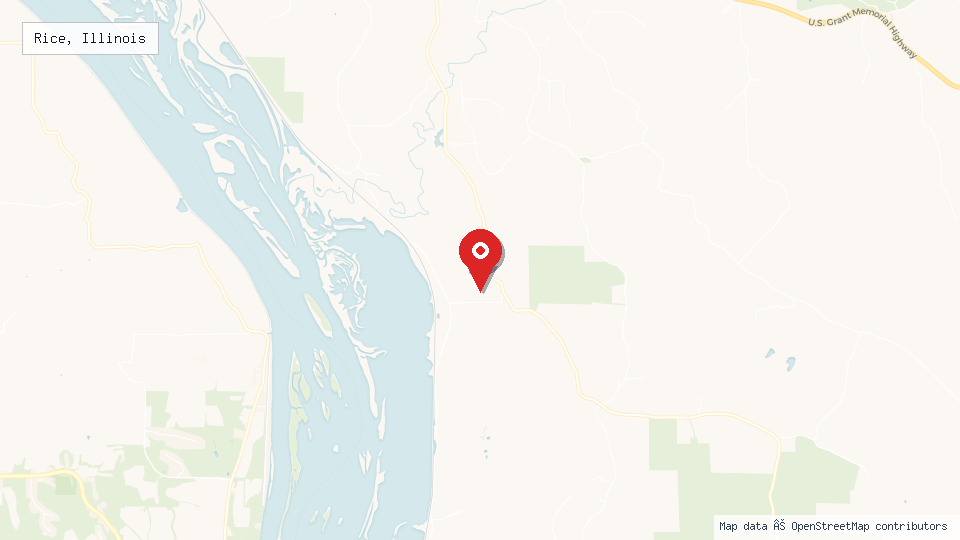 Street map of Rice, Illinois with location pin