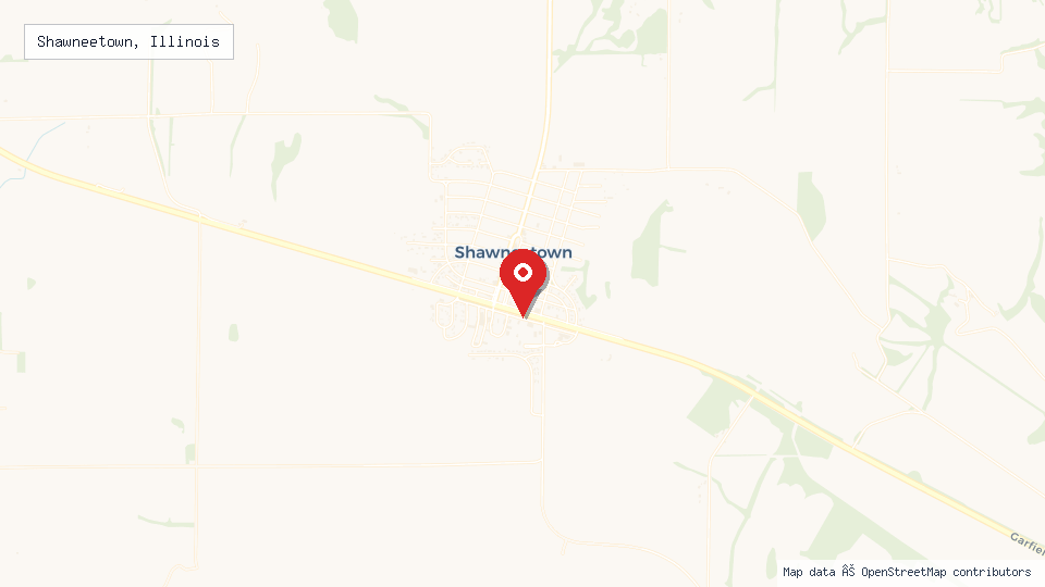 Street map of Shawneetown, Illinois with location pin