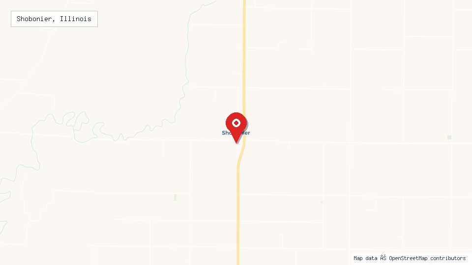 Street map of Shobonier, Illinois with location pin