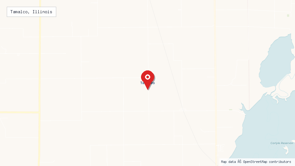 Street map of Tamalco, Illinois with location pin