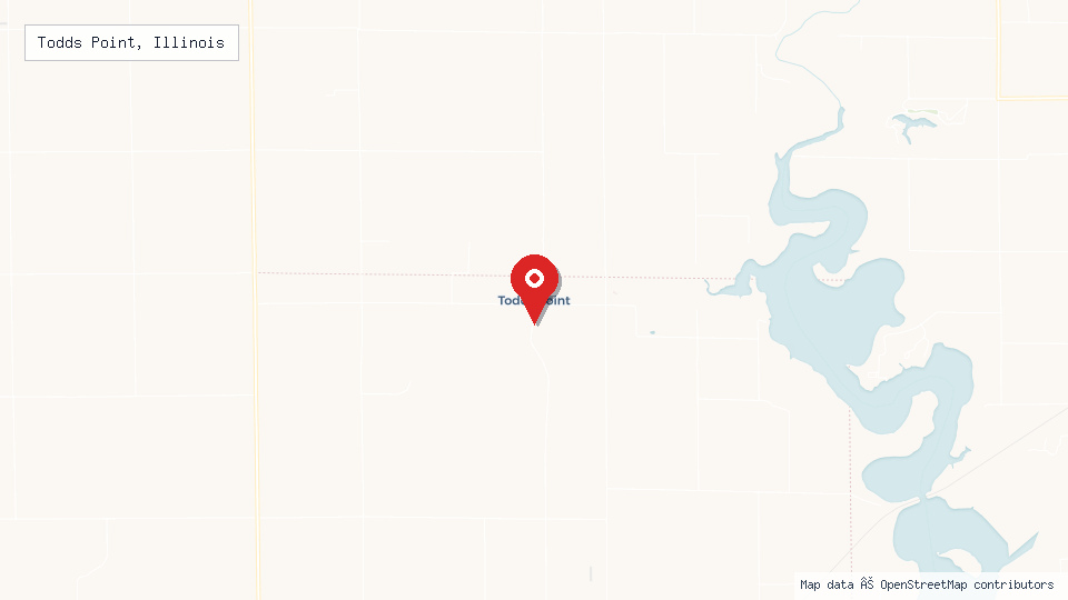 Street map of Todds Point, Illinois with location pin