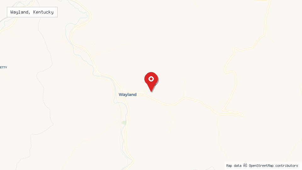 Street map of Wayland, Kentucky with location pin