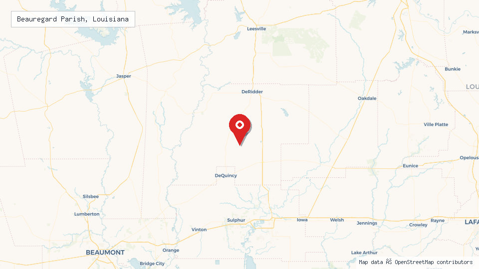 Street map of Beauregard Parish, Louisiana with location pin