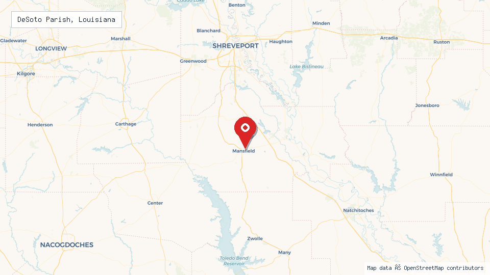 Street map of DeSoto Parish, Louisiana with location pin