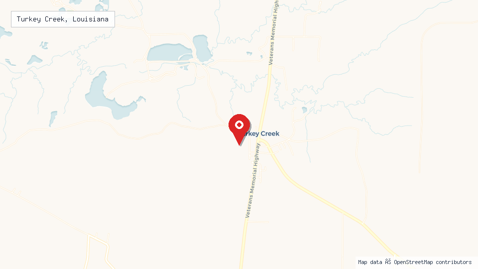 Street map of Turkey Creek, Louisiana with location pin