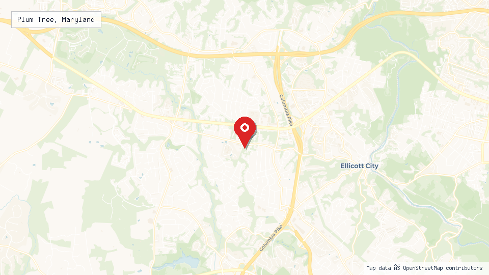 Street map of Plum Tree, Maryland with location pin