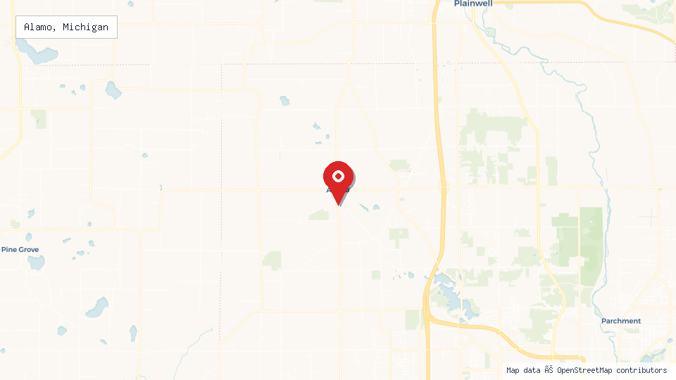Street map of Alamo, Michigan with location pin