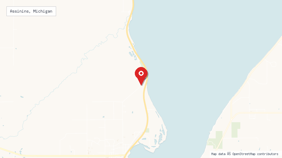 Street map of Assinins, Michigan with location pin