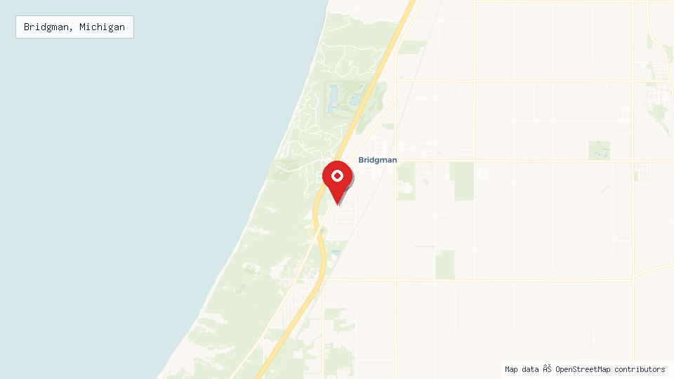 Street map of Bridgman, Michigan with location pin
