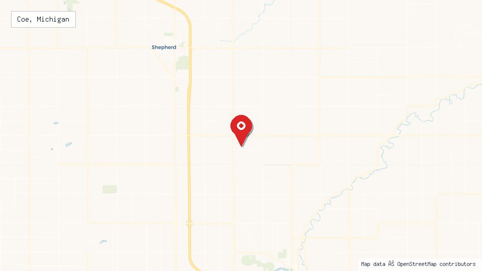 Street map of Coe, Michigan with location pin