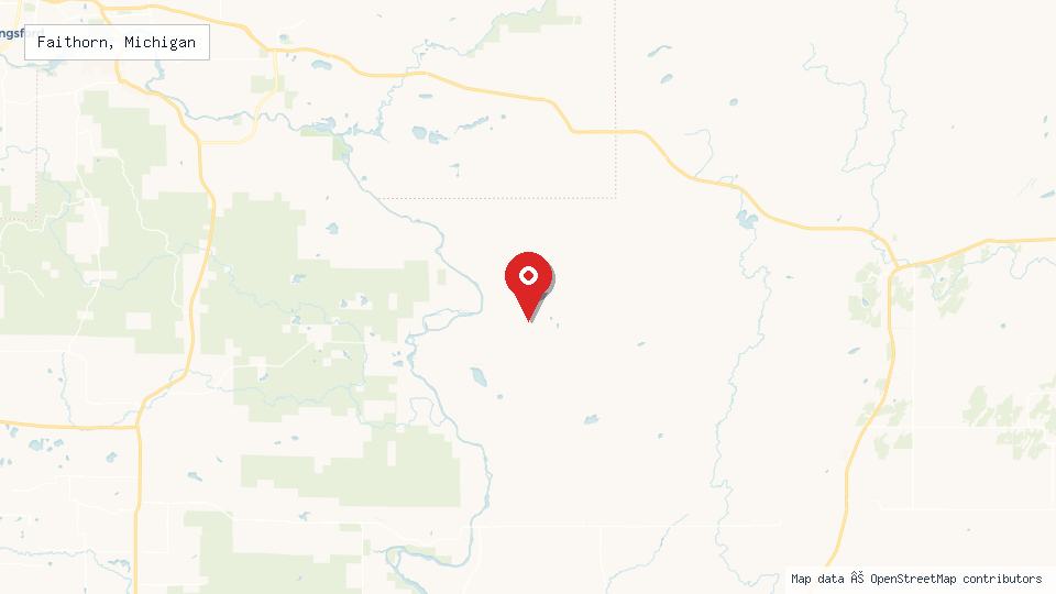 Street map of Faithorn, Michigan with location pin