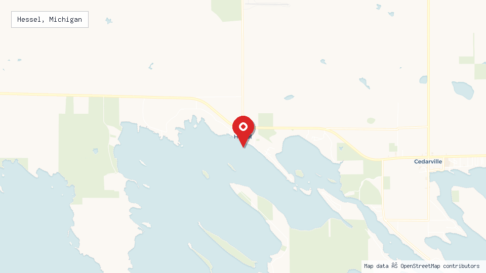 Street map of Hessel, Michigan with location pin