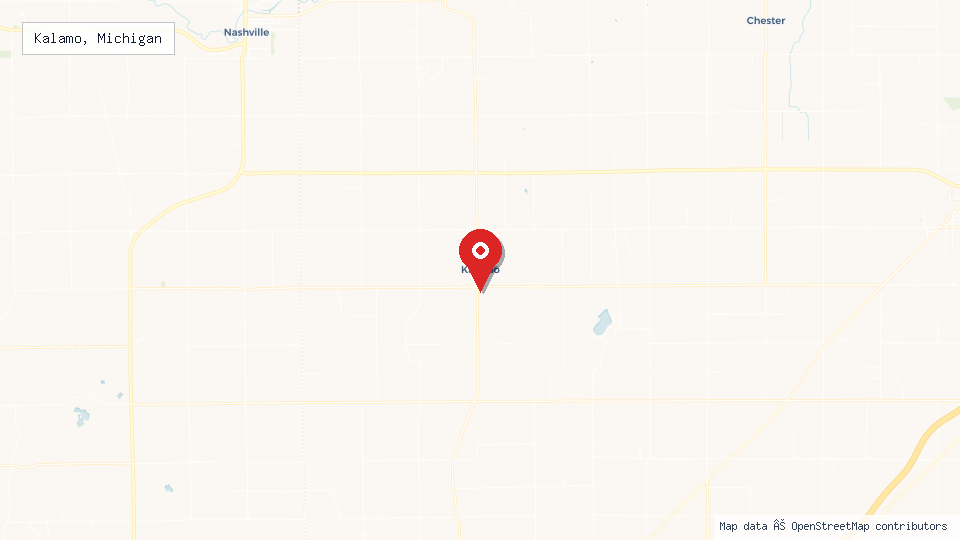 Street map of Kalamo, Michigan with location pin