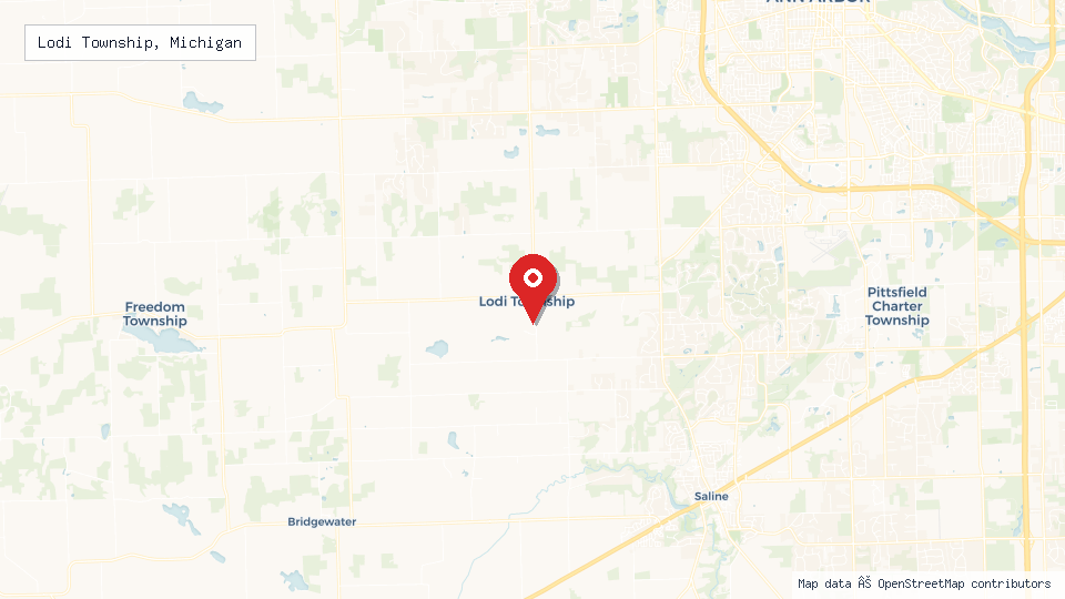 Street map of Lodi Township, Michigan with location pin