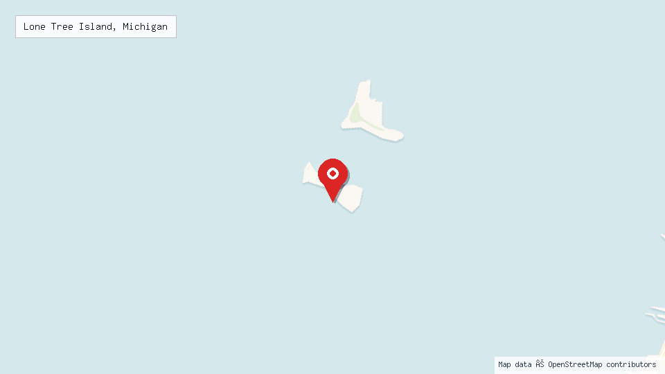Street map of Lone Tree Island, Michigan with location pin
