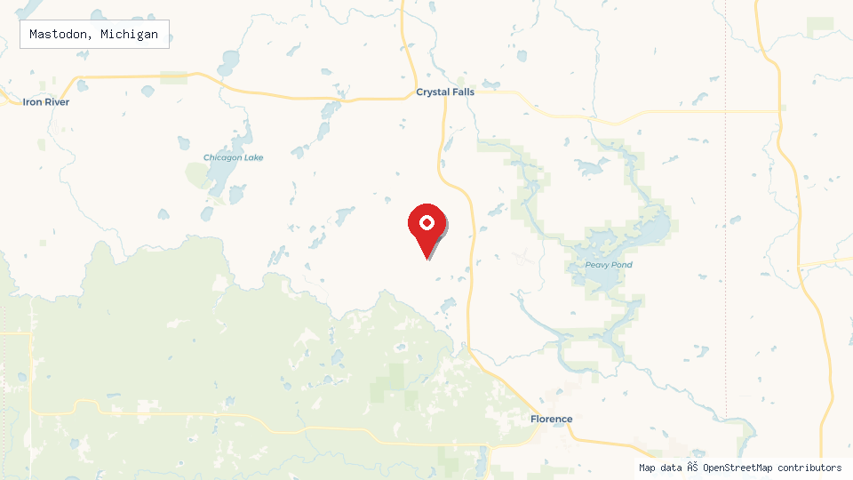 Street map of Mastodon, Michigan with location pin