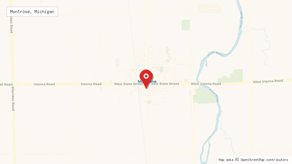 Street map of Montrose, Michigan with location pin