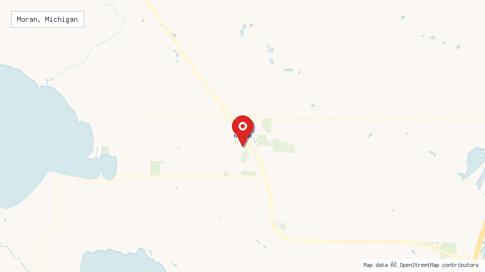 Street map of Moran, Michigan with location pin