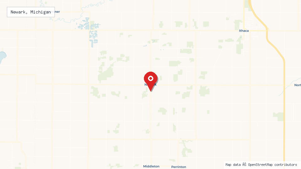 Street map of Newark, Michigan with location pin