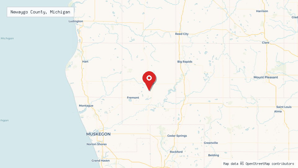 Street map of Newaygo County, Michigan with location pin