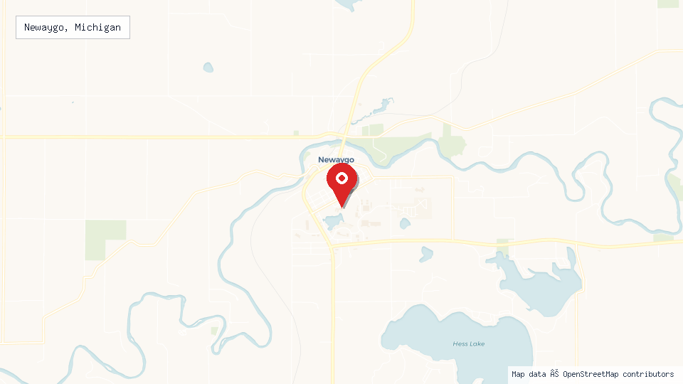Street map of Newaygo, Michigan with location pin