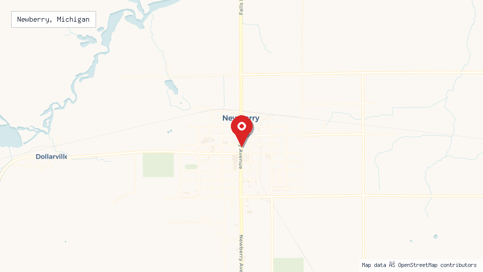 Street map of Newberry, Michigan with location pin