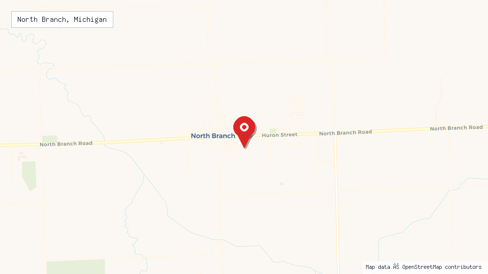 Street map of North Branch, Michigan with location pin