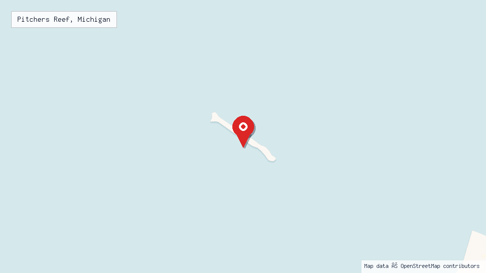 Street map of Pitchers Reef, Michigan with location pin