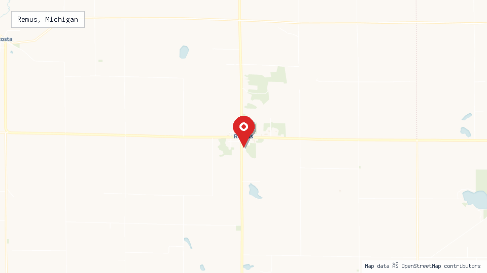 Street map of Remus, Michigan with location pin