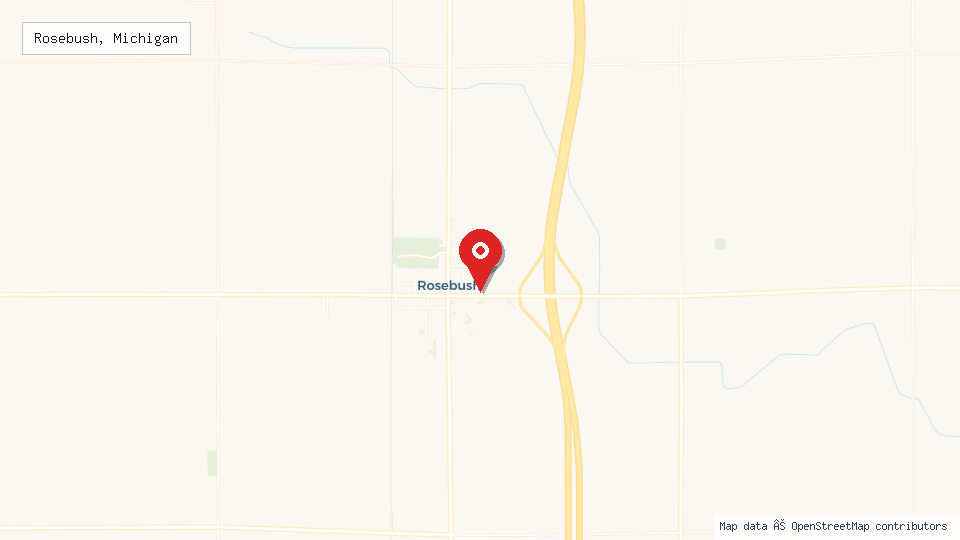 Street map of Rosebush, Michigan with location pin