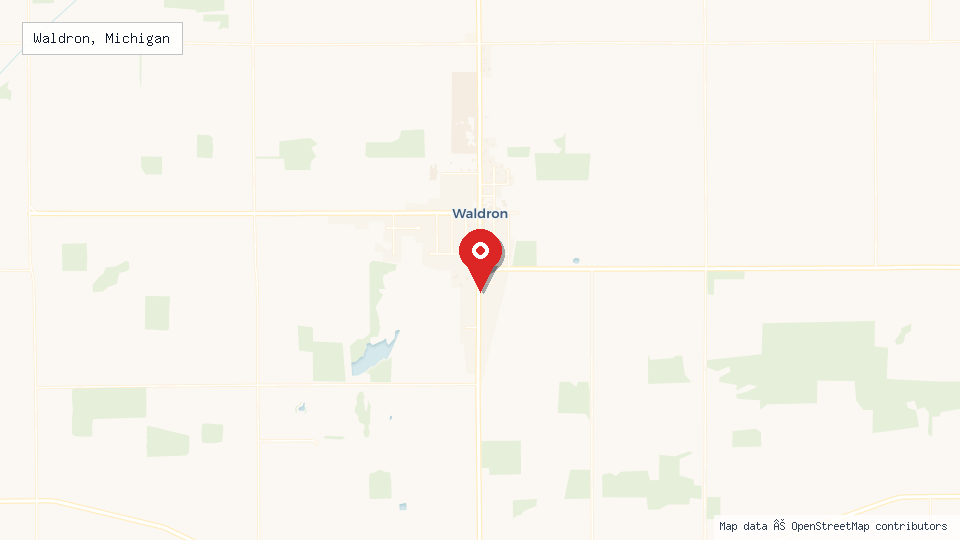 Street map of Waldron, Michigan with location pin