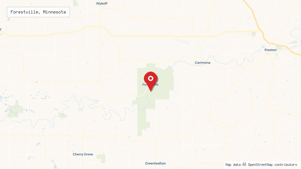 Street map of Forestville, Minnesota with location pin