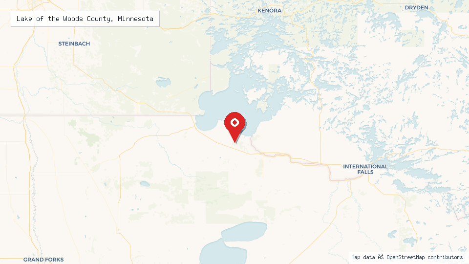 Street map of Lake of the Woods County, Minnesota with location pin