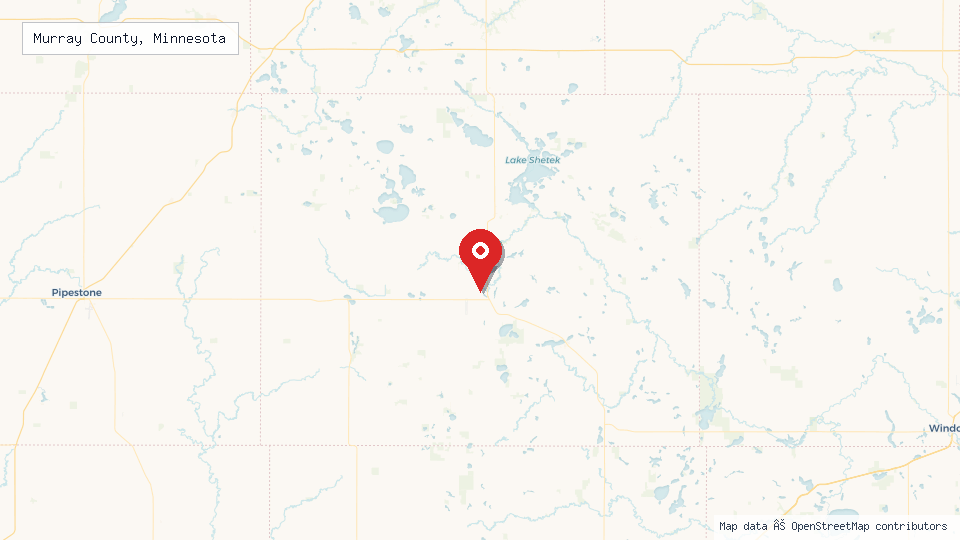 Street map of Murray County, Minnesota with location pin