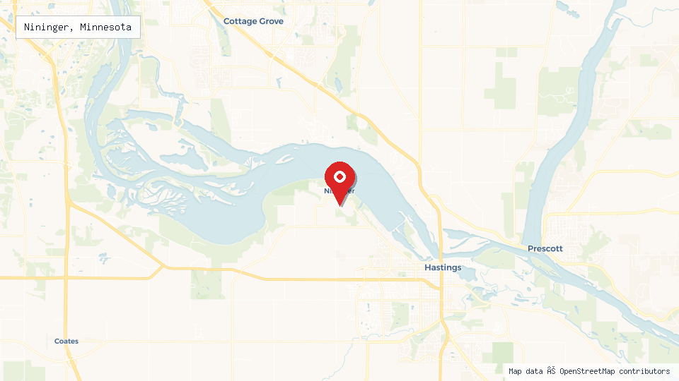 Street map of Nininger, Minnesota with location pin