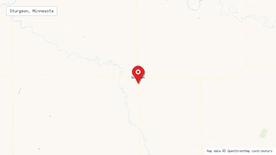 Street map of Sturgeon, Minnesota with location pin