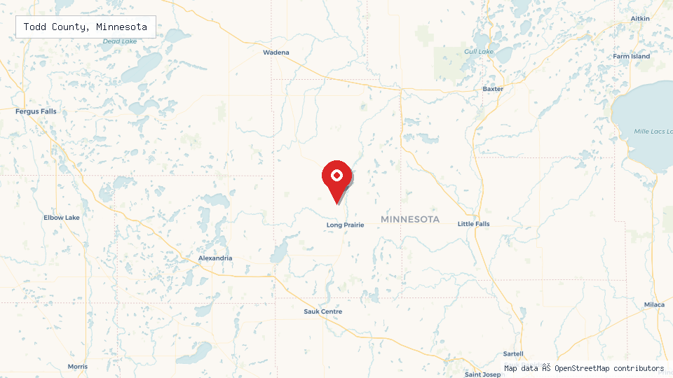 Street map of Todd County, Minnesota with location pin