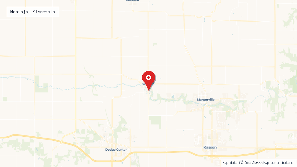 Street map of Wasioja, Minnesota with location pin