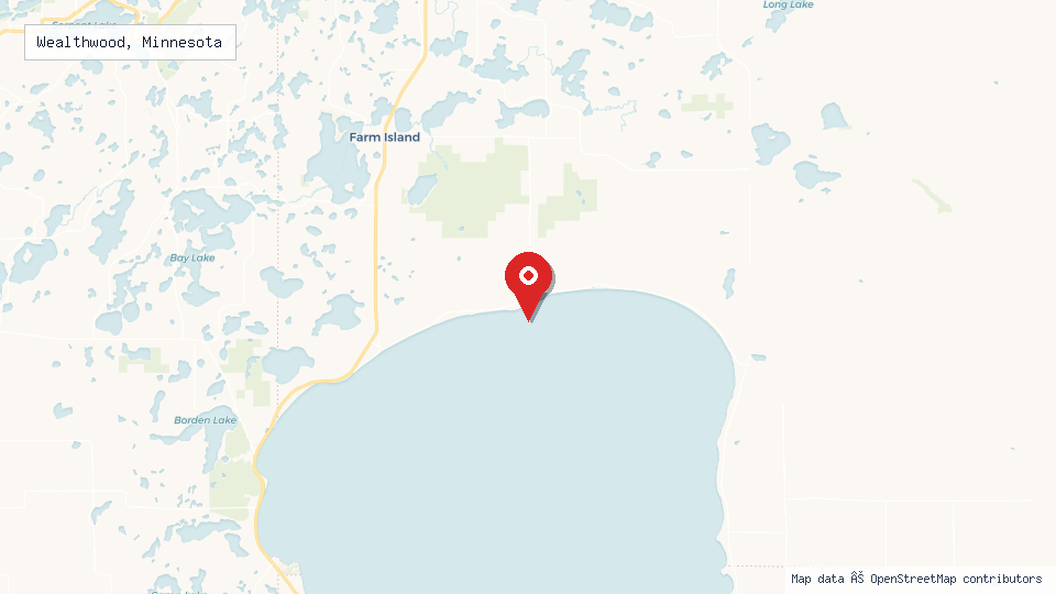 Street map of Wealthwood, Minnesota with location pin