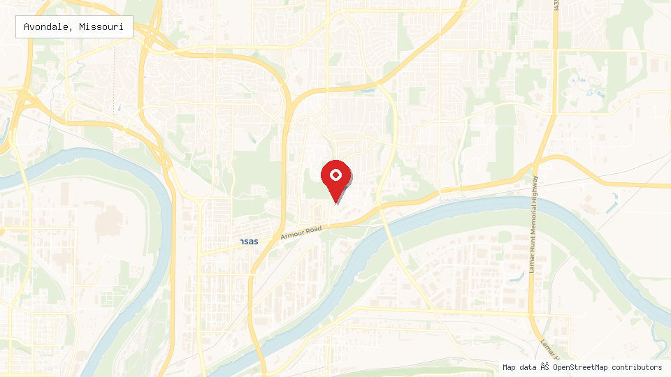 Street map of Avondale, Missouri with location pin