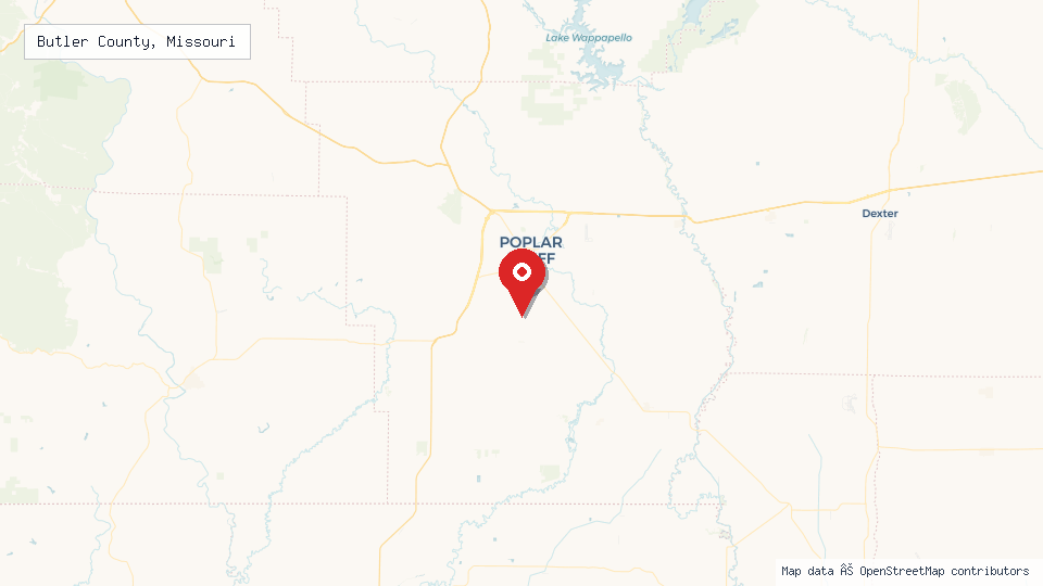 Street map of Butler County, Missouri with location pin