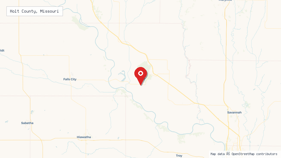 Street map of Holt County, Missouri with location pin