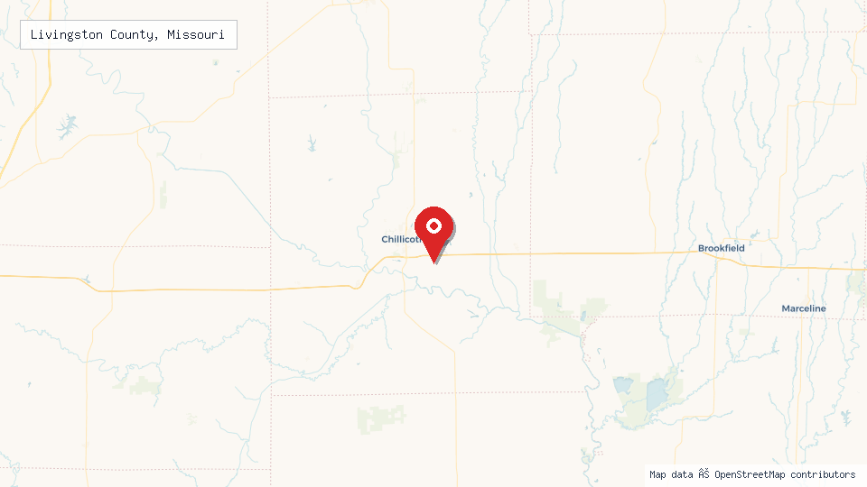 Street map of Livingston County, Missouri with location pin