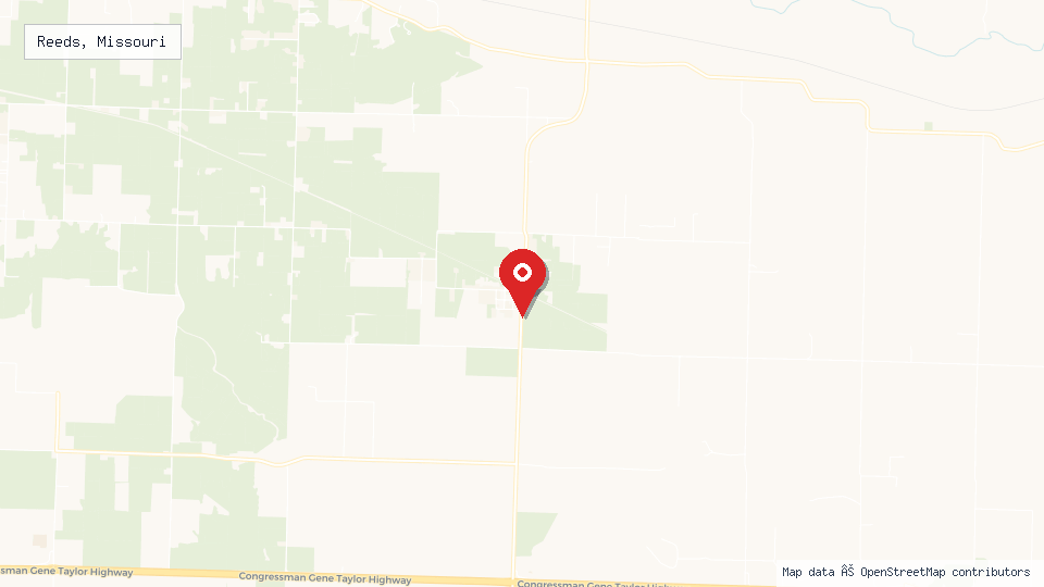 Street map of Reeds, Missouri with location pin